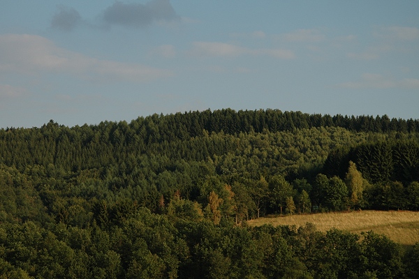 Heidenfeld
