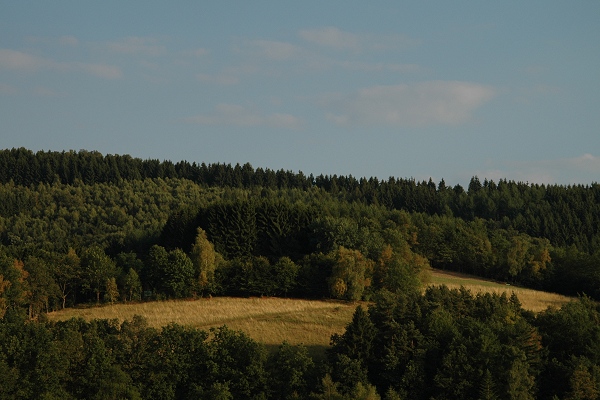 Heidenfeld