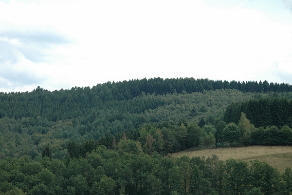 Heidenfeld