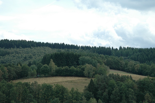 Heidenfeld