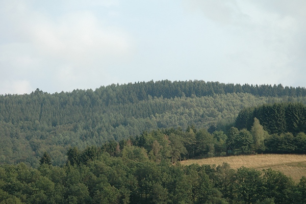 Heidenfeld