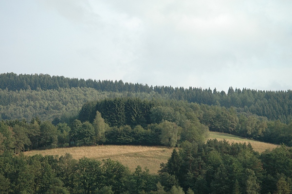 Heidenfeld