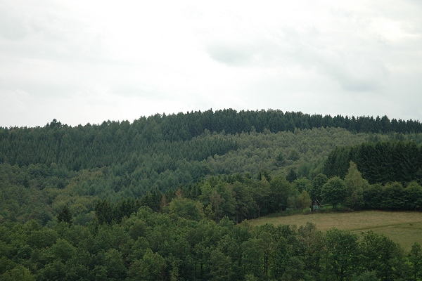Heidenfeld
