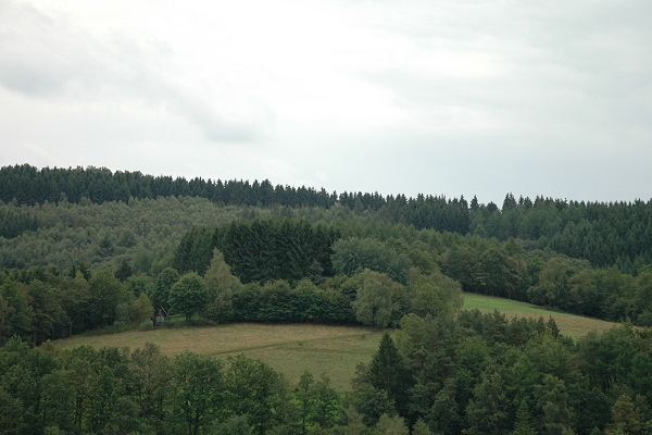 Heidenfeld