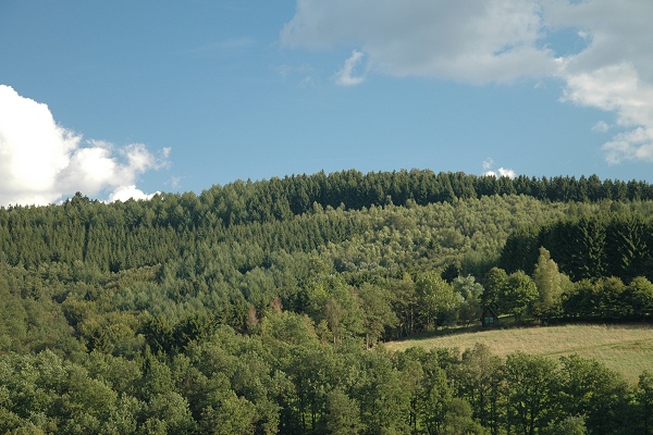 Heidenfeld