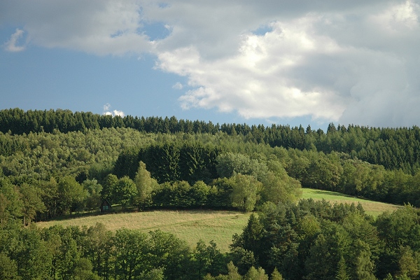 Heidenfeld