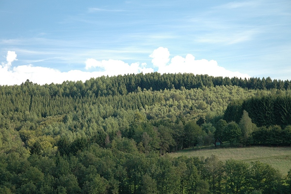 Heidenfeld