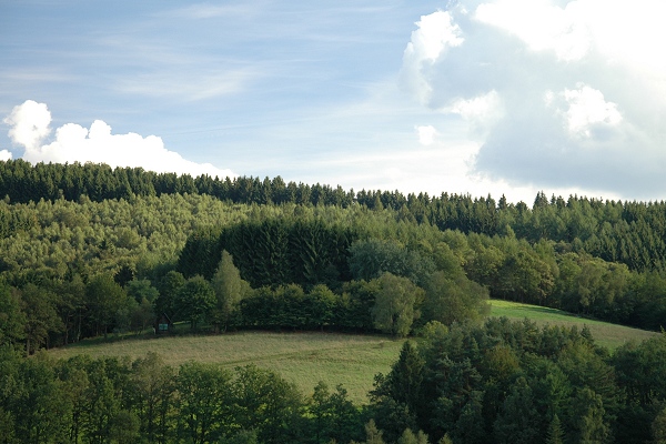 Heidenfeld