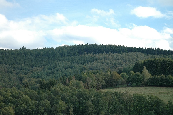 Heidenfeld