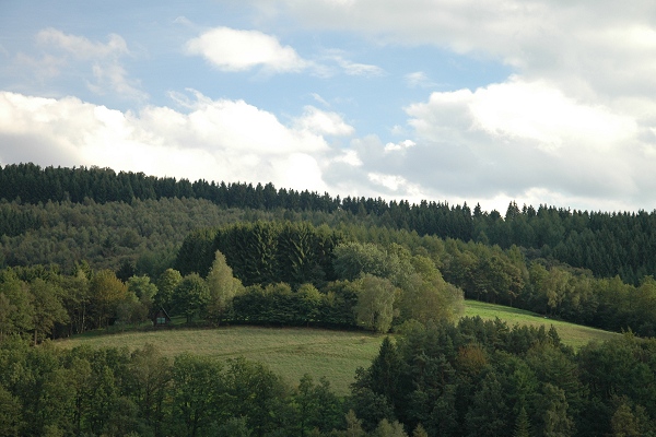 Heidenfeld