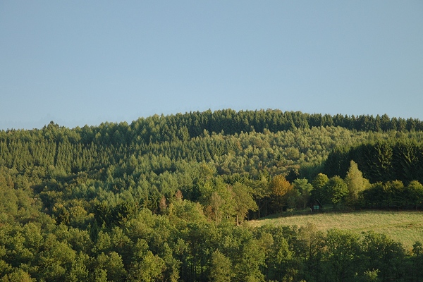 Heidenfeld