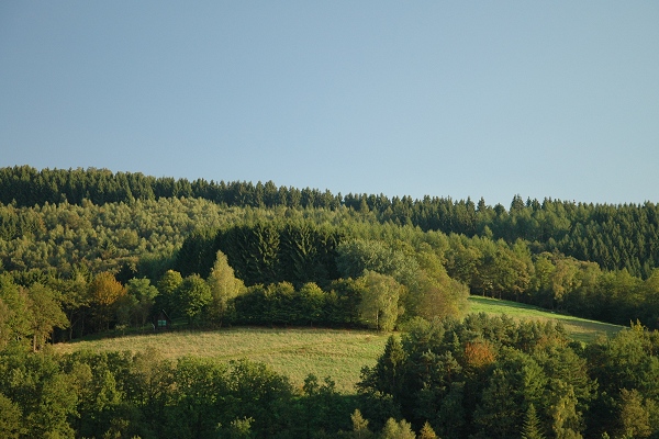 Heidenfeld