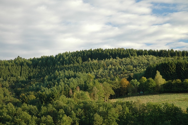 Heidenfeld