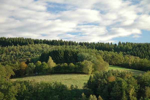 Heidenfeld
