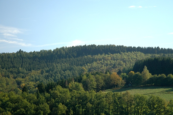 Heidenfeld
