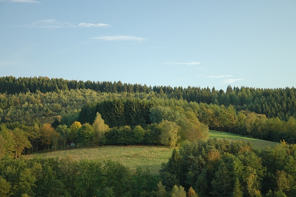 Heidenfeld
