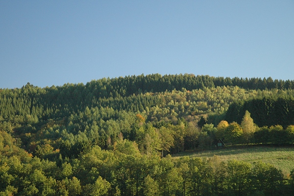 Heidenfeld