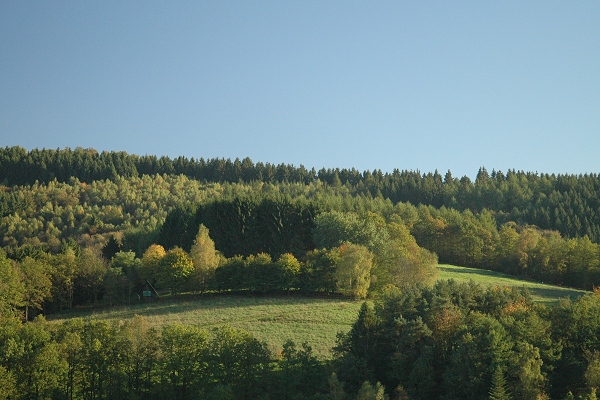 Heidenfeld