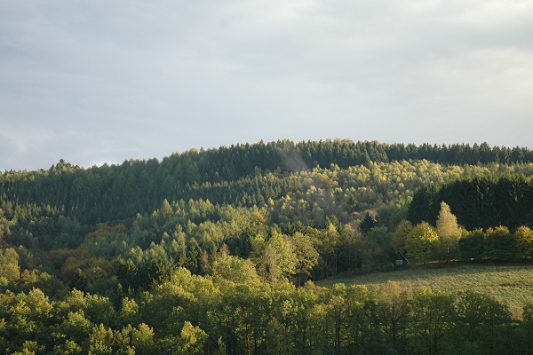 Heidenfeld