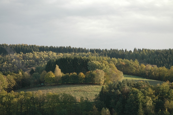 Heidenfeld
