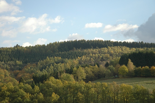 Heidenfeld