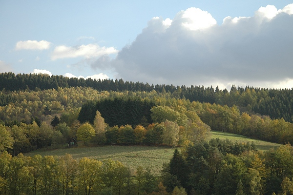 Heidenfeld