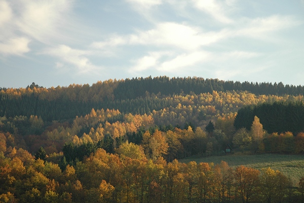 Heidenfeld