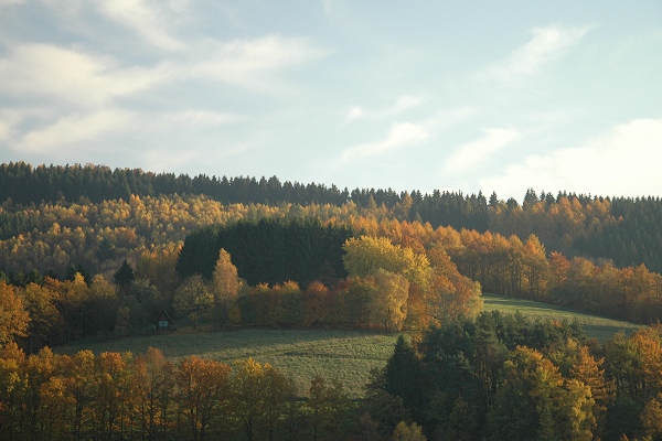 Heidenfeld
