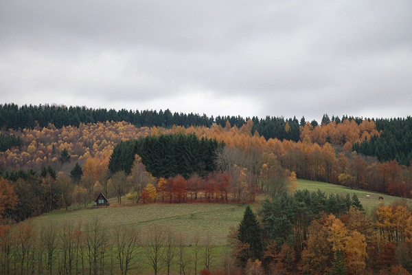 Heidenfeld