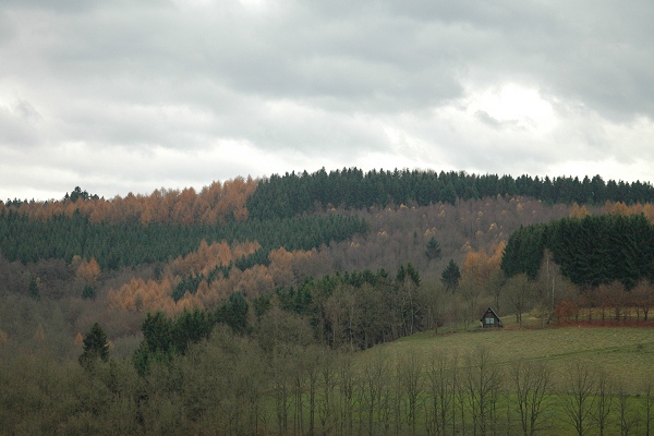 Heidenfeld