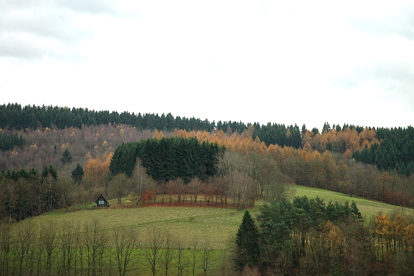 Heidenfeld