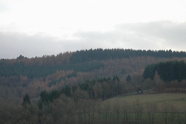Heidenfeld