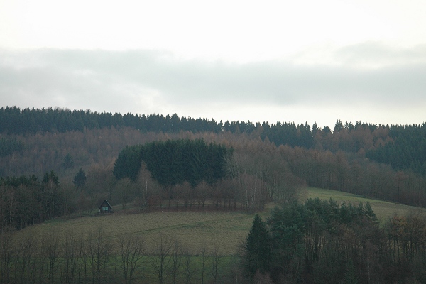 Heidenfeld