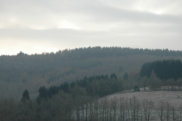 Heidenfeld