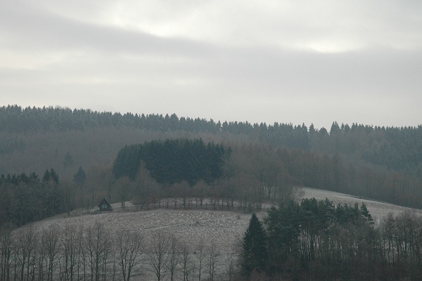 Heidenfeld