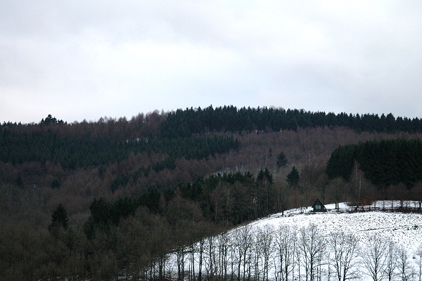 Heidenfeld