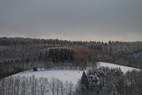 Heidenfeld
