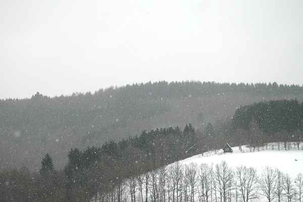 Heidenfeld