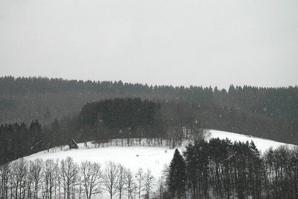 Heidenfeld