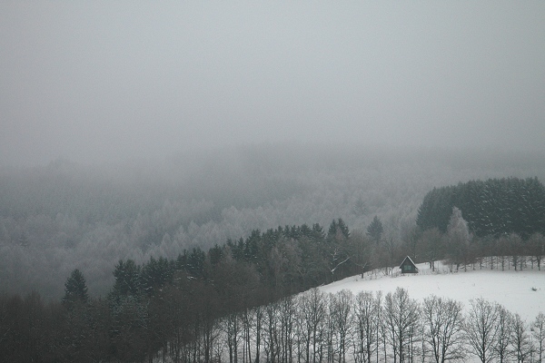 Heidenfeld
