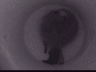 Benutzerübermitteltes Bild