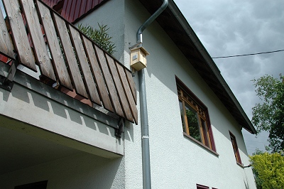 Benutzer&uuml;bermitteltes Bild