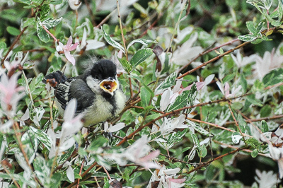 Benutzerübermitteltes Bild