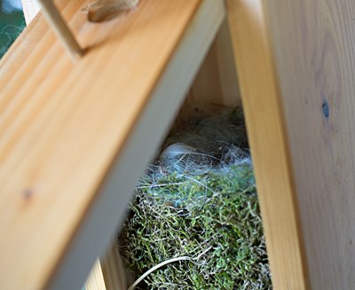 Benutzerübermitteltes Bild