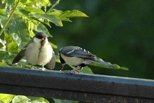 Benutzerübermitteltes Bild