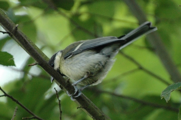 Benutzerübermitteltes Bild