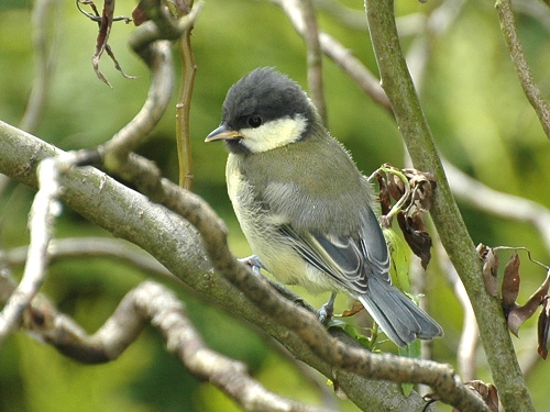 Benutzerübermitteltes Bild