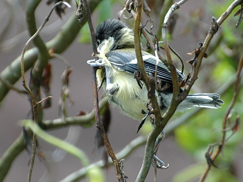 Benutzerübermitteltes Bild